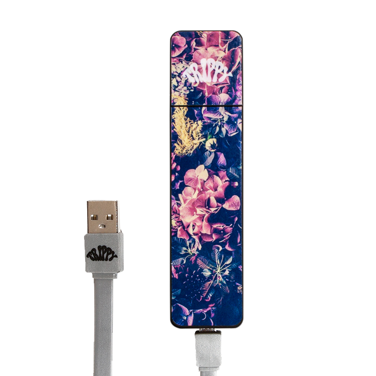 Micro Trippy™ Vaporizer Kit BUDSnROSES (Black)